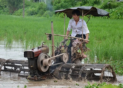 Hơn 60% HTX hoạt động có hiệu quả