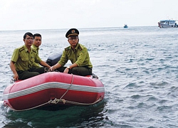 Khi kiểm lâm... xuống biển