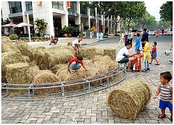 Khung cảnh làng quê thanh bình tại đường hoa Phú Mỹ Hưng những ngày cận Tết