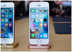 Apple bán sạch iPhone SE chỉ sau một ngày lên kệ vì giá quá rẻ