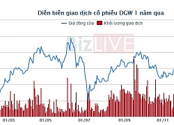 Cổ phiếu tăng hơn 9% năm 2018, Digiworld bổ nhiệm Giám đốc Tài chính