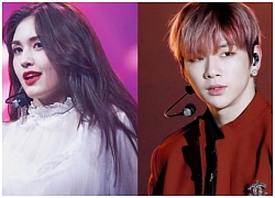 Công ty quản lý xác nhận thời điểm cho Kang Daniel debut solo, lẽ nào hai center quốc dân từ 'Produce 101' sẽ nối đuôi nhau ra mắt?