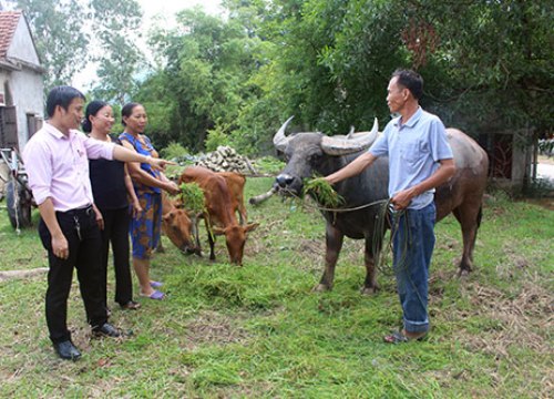 Gần 7 triệu hộ gia đình hưởng lợi từ tín dụng ủy thác