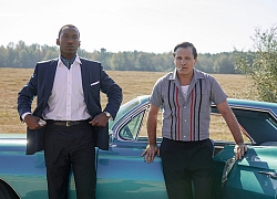 Hậu PGA, 'Green Book' trở thành ứng cử viên hàng đầu cho Oscar