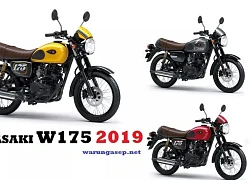 Kawasaki W175 Cafe 2019 mang phong cách hoàn toàn mới chính thức trình làng