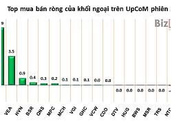 Kinh doanh dưới giá vốn, Thép Việt Ý lỗ quý thứ 3 liên tiếp