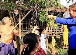 Video: Lặt lá mai ngày Tết cùng sấp nhỏ và Ông Ngoại