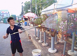 Lo đội tuyển Việt Nam 'phải' thi đấu không kịp về sắm Tết, người hâm mộ hài hước làm điều này