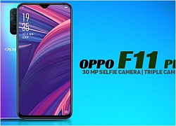 OPPO F11 Pro đạt chứng nhận tại 3 quốc gia, có thể tích hợp camera zoom quang 10x?