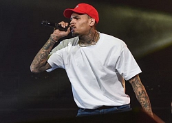 Rapper Chris Brown bị bắt vì nghi án cưỡng bức phụ nữ tại Pháp