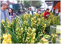 Tấp nập chợ hoa Tết Vạn Phúc