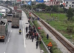 Thu hồi giấy phép kinh doanh vận tải công ty có lái xe gây tai nạn ở Hải Dương