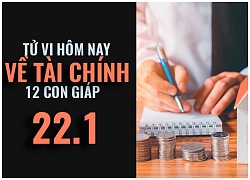 Tử vi hôm nay (22/1/2019) về tài chính của 12 con giáp: Tuổi Hợi hào phóng với chính mình