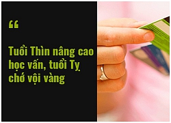 Tử vi ngày (23/1/2019) về tài chính của 12 con giáp: Tuổi Tý tắt chế độ phòng thủ, bật chế độ ôn hòa