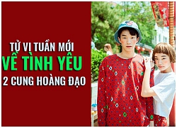 Tử vi tuần mới (21/1 &#8211; 27/1) về tình yêu của 12 cung hoàng đạo