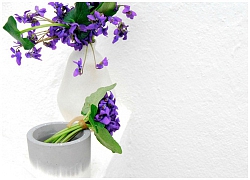 Cách cắm hoa Violet "dễ ợt" ai cũng có thể tự tay làm được để trang trí nhà đón Tết