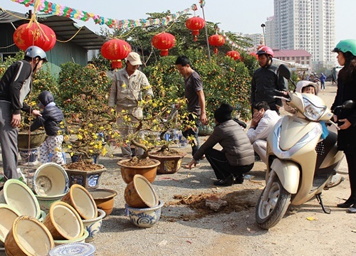 Dự báo thời tiết 25/1: Hà Nội lạnh, Sài Gòn nóng 32 độ