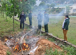 Quảng Ninh: Bắt đối tượng vận chuyển gần 100kg gà lậu