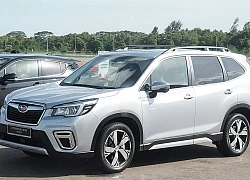 Subaru dừng sản xuất tại Nhật Bản, xe về Việt Nam sẽ bị ảnh hưởng