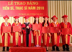 Thu hút khoảng 1.500 nhà khoa học, tiến sĩ vào giảng dạy tại các trường đại học