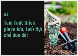 Tử vi hôm nay (26/1/2019) về tài chính của 12 con giáp: Tuổi Mão mải tiệc tùng chú ý bội chi