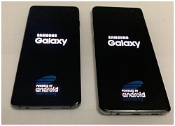 Xuất hiện hình ảnh rõ nét nhất của bộ đôi Galaxy S10 và Galaxy S10 Plus