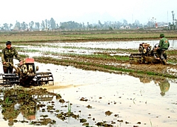 Các địa phương triển khai sản xuất vụ đông xuân