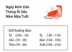 Phong thủy hàng ngày (29/1/2019) của 12 con giáp: Tuổi Sửu tập trung tinh thần chiến đấu