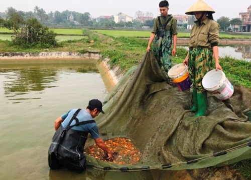 Tấp nập làng cá chép Tân Cổ dịp tiễn ông Táo về trời ở xứ Thanh