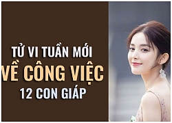 Tử vi tuần mới (28/1 &#8211; 3/2) về công việc của 12 con giáp: Dần gặp trục trặc, Thân bị hiểu lầm