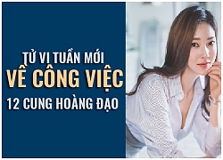 Tử vi tuần mới (28/1 - 3/2) về công việc của 12 cung hoàng đạo: Kim Ngưu, đừng để tình cảm xen vào công việc