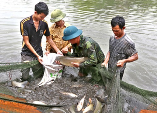 Vào tổ hội nghề nghiệp, giúp nhau thành tỷ phú