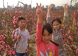 Bạn đọc viết: "Thích nhất là Tết không phải học bài"