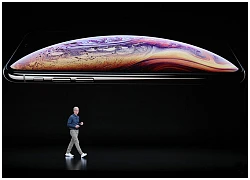 Báo cáo của Bloomberg: Apple đang phát triển một chiếc iPhone có 3 camera sau và cổng USB-C