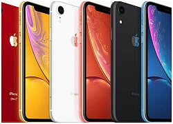 Chỉ 1 ngày sau khi Apple chịu giảm giá iPhone tại Trung Quốc, doanh số iPhone lập tức tăng vọt hơn 70%