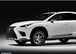 Crossover Lexus NX F-Sport thêm bản đặc biệt Black Line giá từ 1,12 tỷ