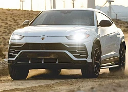 Thuê siêu suv lamborghini urus với giá 1.300 usd/ngày