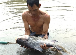 TP.HCM: Cung ứng gần 100 tấn cá đặc sản, "thượng đế" tha hồ ăn Tết