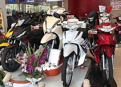 Bảng giá xe máy Honda tháng 2/2019: Honda SH150i bị đội giá tại đại lý