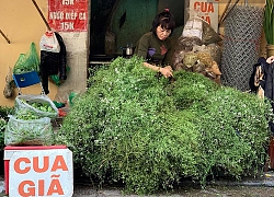 Chợ Hàng Bè đông đến kinh ngạc: giờ vẫn chưa sắm Tết thì đây là địa chỉ có tất cả mọi thứ ngon cho bạn