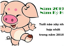 Chuyên gia phong thuỷ: Những tuổi mua nhà, xây nhà, làm ăn vượng nhất năm Kỷ Hợi 2019