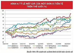 Điều hành tỷ giá - một năm &quot;vượt sóng&quot;...