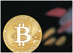 Đồng Bitcoin tiếp tục gây thất vọng trong phiên giao dịch cuối cùng của năm Mậu Tuất