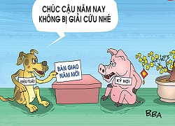 Mậu Tuất - Kỷ Hợi bàn giao