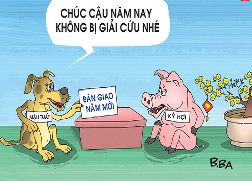 Mậu Tuất - Kỷ Hợi bàn giao