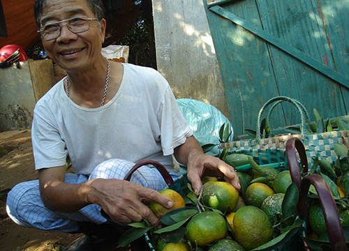 Mùa xuân "đếm tiền mỏi tay" của các tỷ phú cam Cao Phong