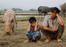 Năm Kỷ Hợi, kể chuyện Heo trên màn ảnh Việt!