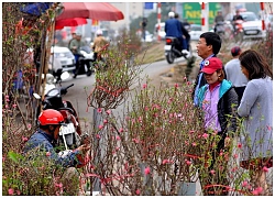 Nhớ mùi lúa mới cơm lam