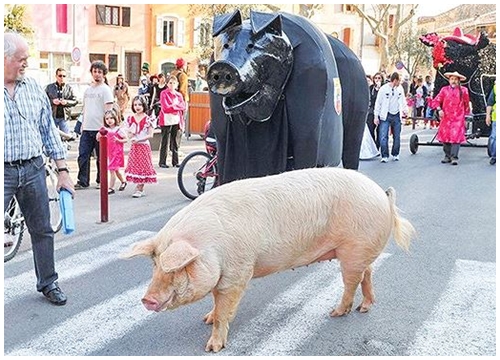 Những lễ hội rước ông Lợn ở Pháp