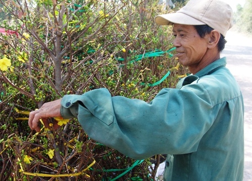 U70 vẽ tranh dưa hấu Tết, gói bánh tét vừa có tiền vừa vui